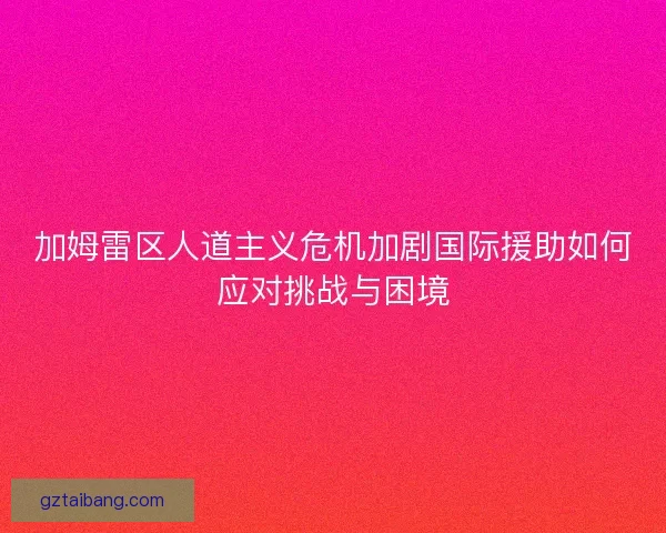 加姆雷区人道主义危机加剧国际援助如何应对挑战与困境